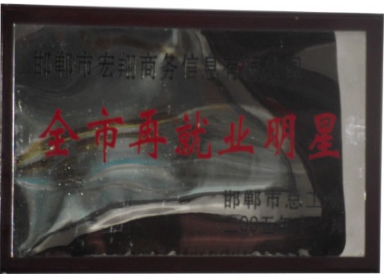 全市再就业明星
